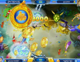 彩777ccapp最新版下载2024最新版